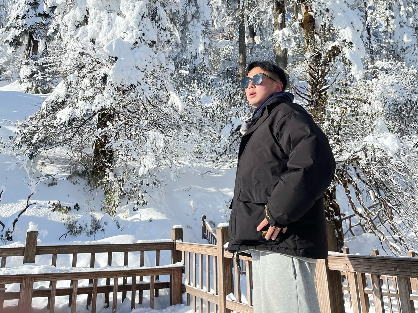 香港六宝大典全年资料库